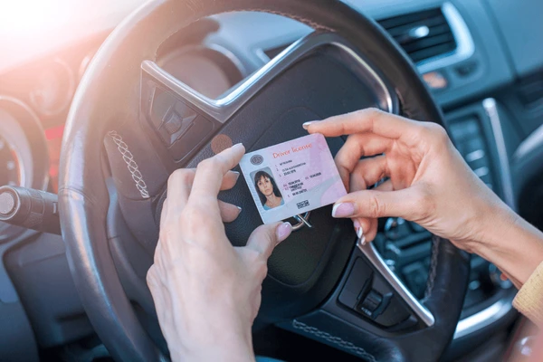 comprar licencia de conducir
